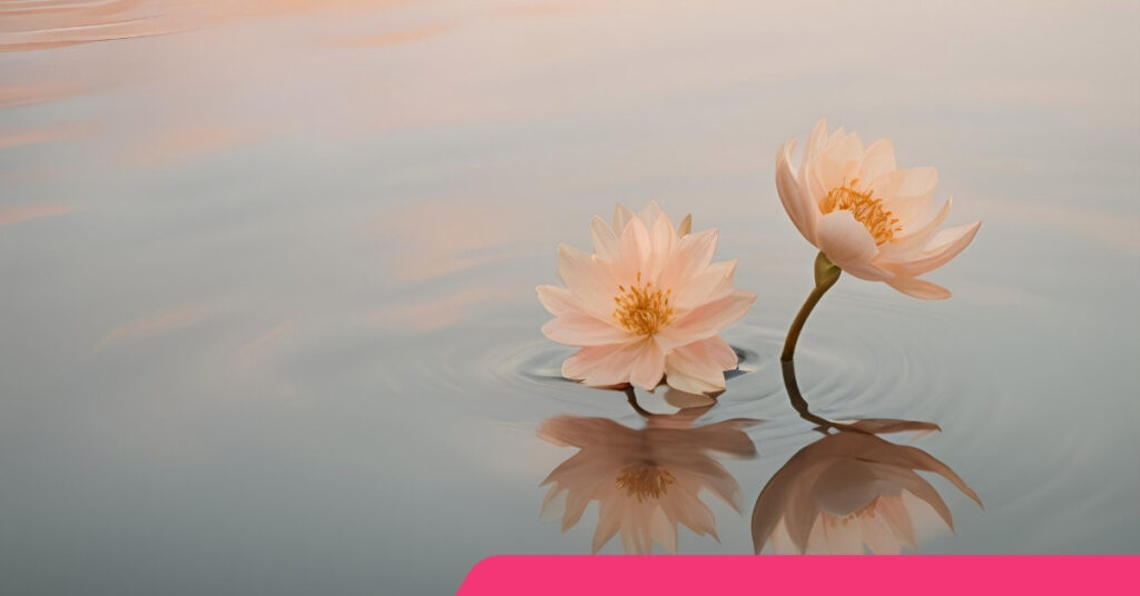 MBTI 성격 유형 검사