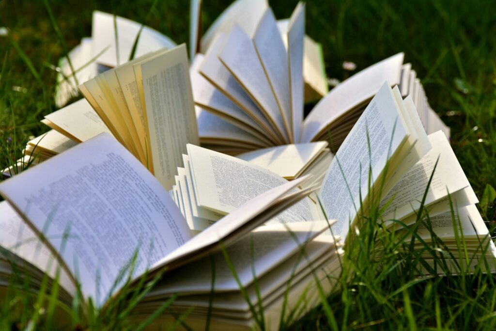 What Book Should I Read Quiz – Find Your Next Read