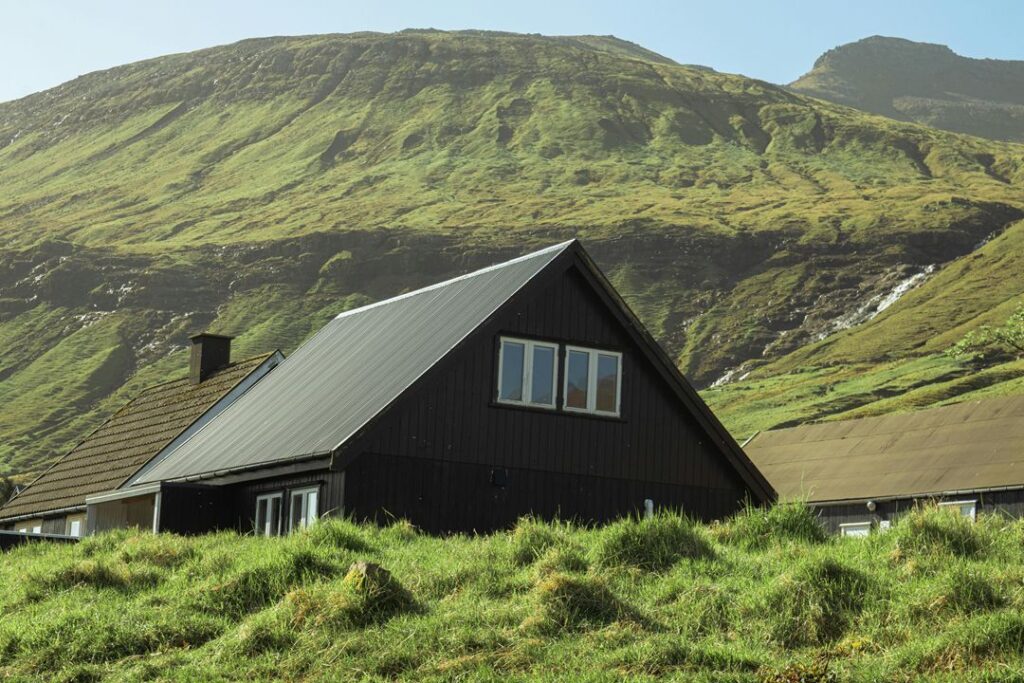 숲속 심리테스트 – 무의식으로 알아보는 나의 진짜 모습