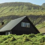 숲속 심리테스트 – 무의식으로 알아보는 나의 진짜 모습