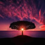 Big Five Personality Test