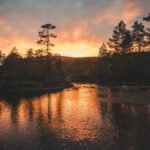 Test de Edad Mental – ¿Cuál es tu Edad Real?