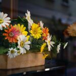 Test dell’Età Mentale: Scopri la Tua Vera Età