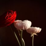 Test di Compatibilità di Coppia Gratuito Online