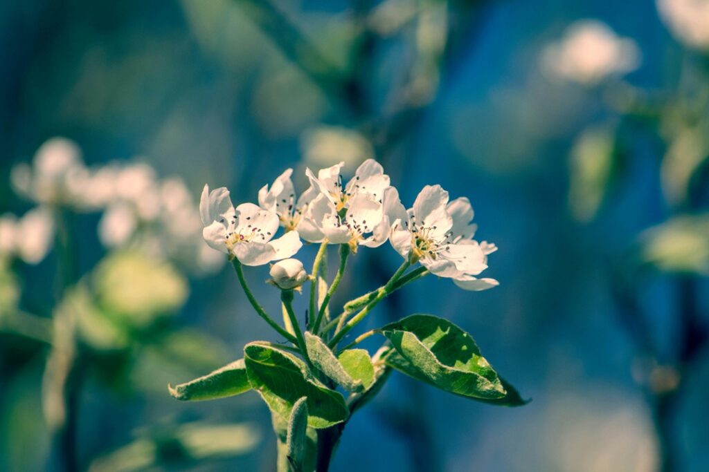 Test Atelofobia: Hai Paura di Non Essere Abbastanza?