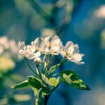 Test Atelofobia: Hai Paura di Non Essere Abbastanza?