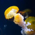 Test na Dojrzałość Emocjonalną – Sprawdź Swój EQ