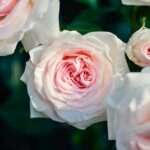 Test Derealizzazione: Valuta i Tuoi Sintomi