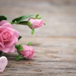 Test Patologia di Pooh: Scopri il Tuo Personaggio