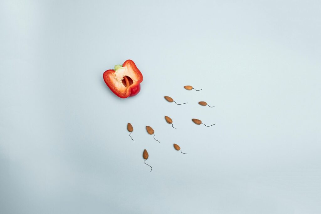 Teste de Neurodivergência Gratuito | Quiz Completo