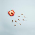 Teste de Neurodivergência Gratuito | Quiz Completo